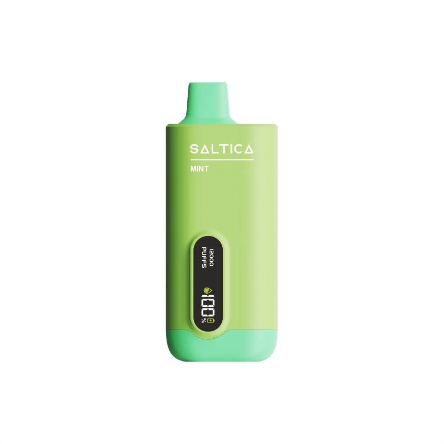 Saltica Ekranlı 12000 Mint Ferah nane aroması ve uygun fiyatıyla 12000 pufluk salt nikotin performansı sunan kullan at vape bar.