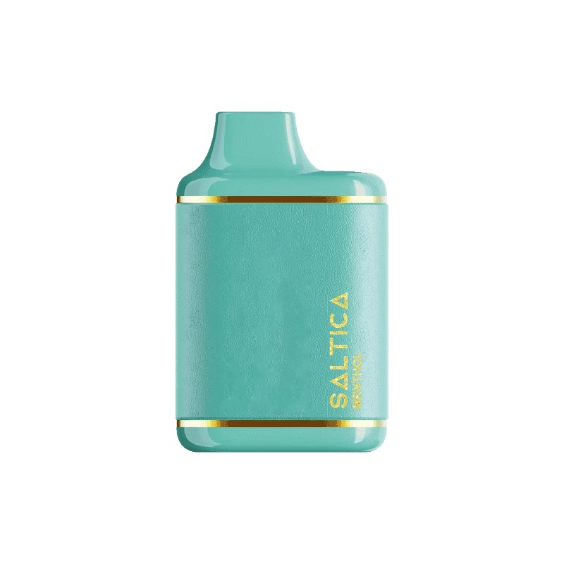 Saltica Leather 7000 Menthol Zero Uygun fiyatıyla 7000 pufluk ferahlatıcı nane aromalı salt nikotin içermeyen kullan-at vape bar.