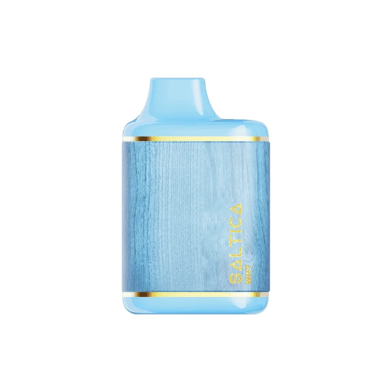 Saltica Leather 7000 Mint 7000 Nefes Ferah nane aromalı Saltica Leather 7000, 7000 nefeslik kullanım ve şık tasarımıyla uygun fiyatlı bir salt nikotin vape bar.