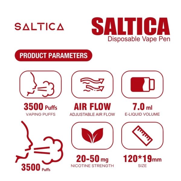 Uygun fiyatıyla taze liçi aroması ve ferahlatıcı buz etkisi sunan pratik salt nikotin kullan-at vape pen.