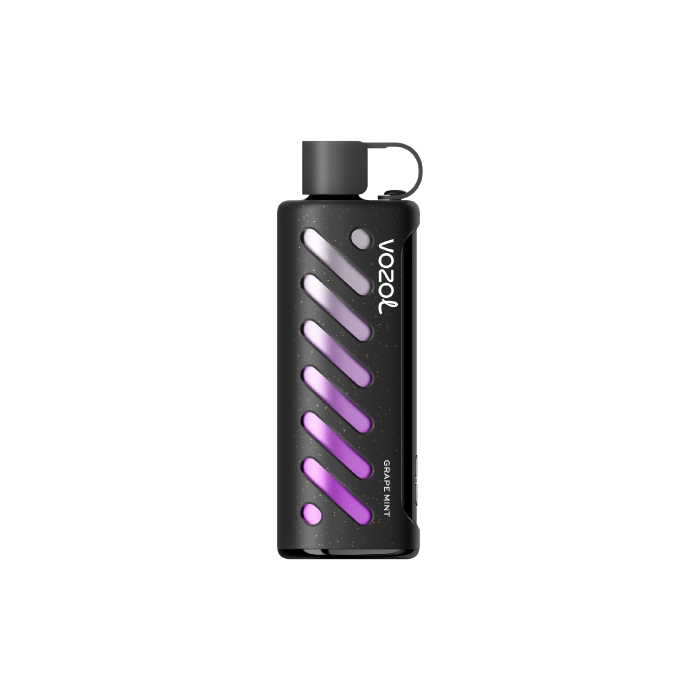 Vozol Gear Shisha 25000 Grape Mint 25.000 puf kapasiteli salt nikotinli Vozol Gear Shisha Grape Mint, ferah üzüm ve nane aromasını uygun fiyatla sunar.